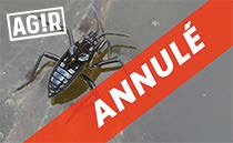 Agir_Insect_Anul_210
